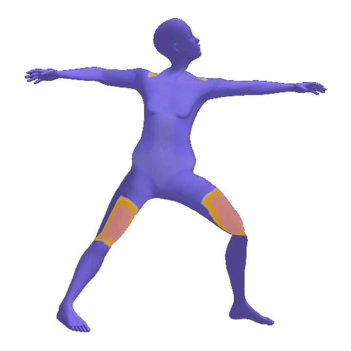 3D body in Warrior II, with the thighs, shoulders and glutes lit up