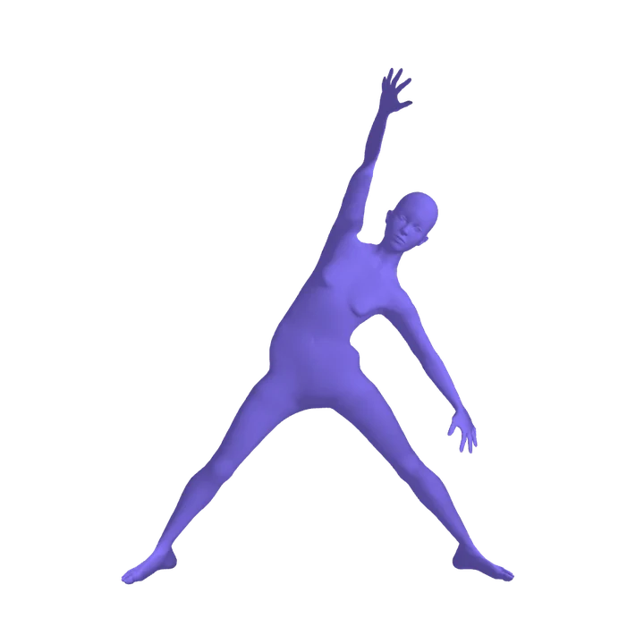 The 3D body in Triangle pose, at rest